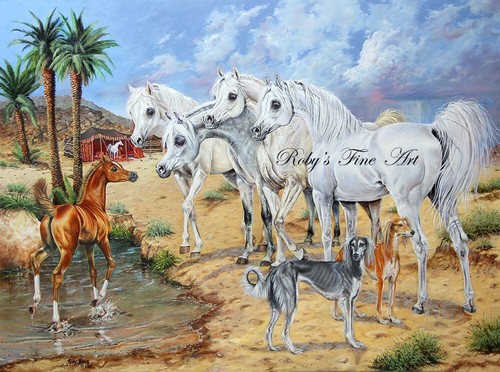Limited edition arabian - limited,