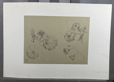 Disegno Originale A Matita