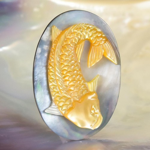 Pesce koi dorato bianco - koi,