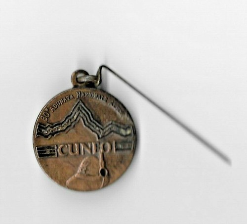 2007 medaglia alpini - 2007,