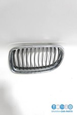 Griglia Laterale Originale BMW