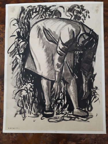 Bruno baratti disegno - bruno, baratti.