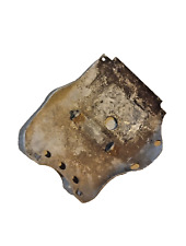 Paracoppa paramotore Beta Zero