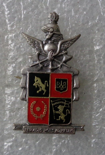 Distintivo reggimento genio - distintivo,