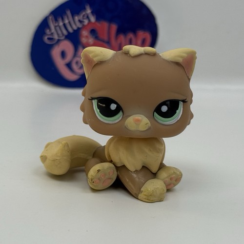 Gatto persiano 1063 - #1063,