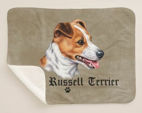 Jack russell terrier coperta - terrier,