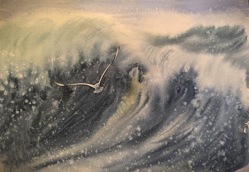 Birds seagall sky - birds, waves