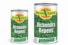 Prato verde dichondra repens - prato,