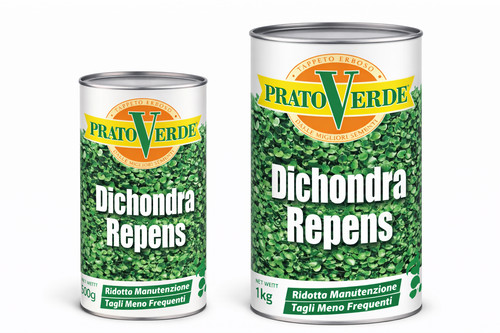 Prato verde dichondra - verde,
