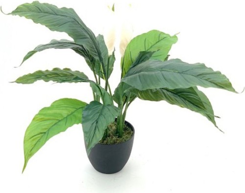 Pianta artificiale stile zen - artificiale,