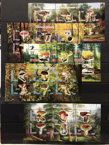 11x flora funghi carta - funghi,