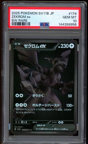 2025 pokemon zekrom - pokemon, ex