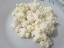 KEFIR DI LATTE 10GRAMMI LATTE