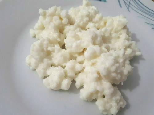 Kefir latte 10grammi - di,