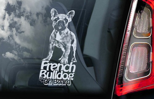 French bulldog car sticker - car,