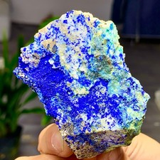 147G MIGLIORI esemplari di