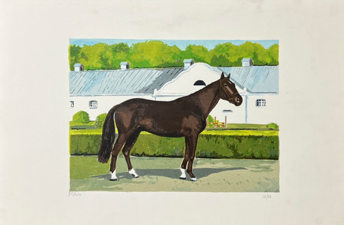 Riso litografia cavallo - riso,