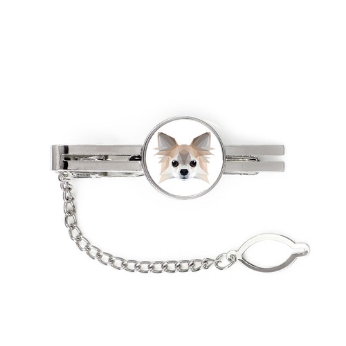 Chihuahua pelo lungo - pelo,