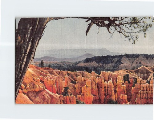 Cartolina bryce canyon - canyon, parco