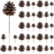 36 Pezzi Pigne Gambo Piccole