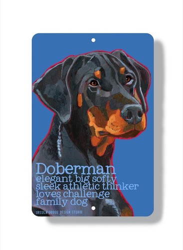 Doberman dobermann - doberman,