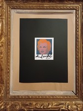 ANDY WARHOL  POLAROID  COLORS     SIGNED BY HAND 