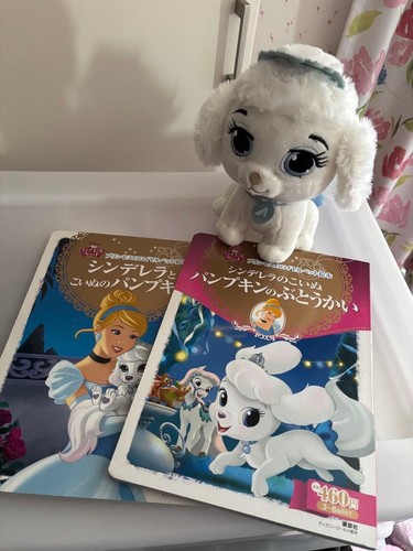 Disney principessa cenerentola - principessa,
