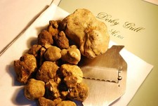 Precious fresh white truffle