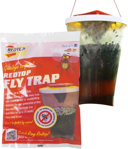 Redtop trappola biologica - redtop,
