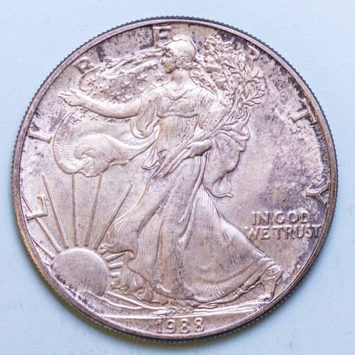 America dollaro 1988 american - dollaro,