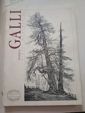 Federica Galli alberi