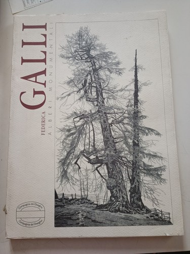 Federica galli alberi - galli,