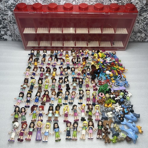Lego friends minifigure - friends,