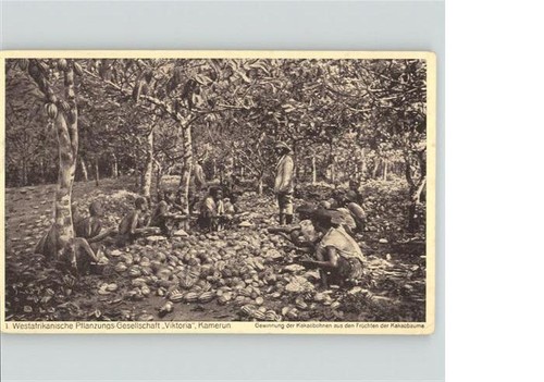 Kamerun afrika - kamerun,