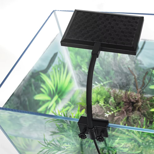 Luce led acquario pesci