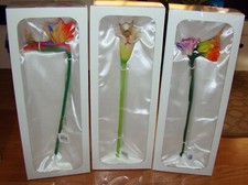 Sheila Wolk Flitty'z Snowpea