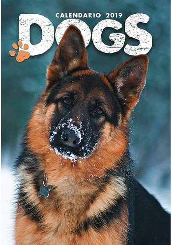 Cani dogs calendario - calendario, parete