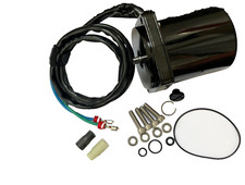Motore evinrude 30hp - motore,