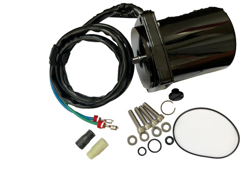 Motore evinrude 30hp - motore,