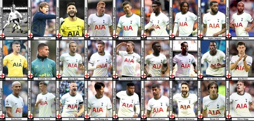 Tottenham hotspur football - hotspur,