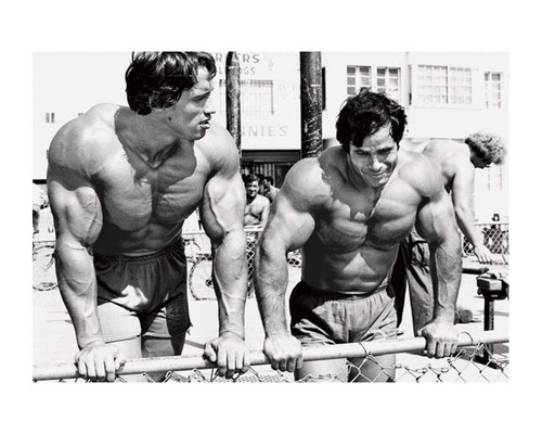 Poster allenamento arnold - poster,