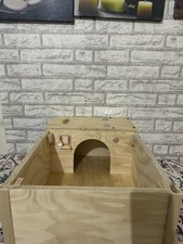 terrario tartarughe terra