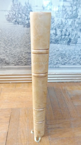 Doctorat impromptu andrea - le,