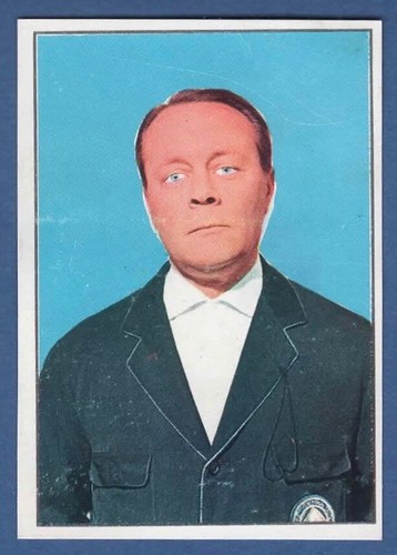 Figurina calciatori panini - figurina,