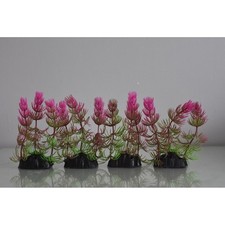 Acquario 4 X Rosso/ Verde