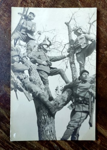 Foto cartolina militare italia - cartolina,