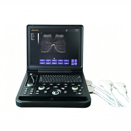 Sistema diagnostico - , ad