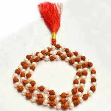 6mm Genuine Rudraksha white