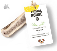 - Premium Deer Horns for