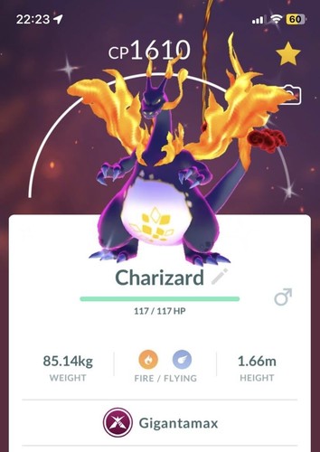 Pokémon shiny charizard - pokémon,